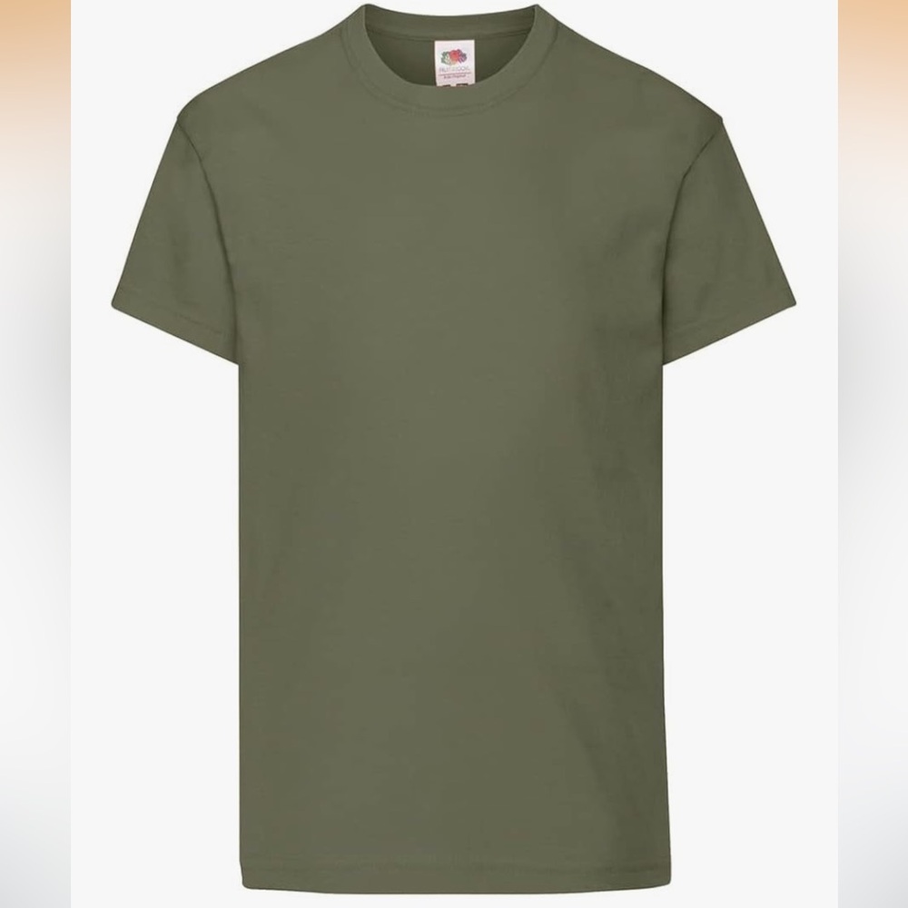 Fruit of the Loom Classic Tee